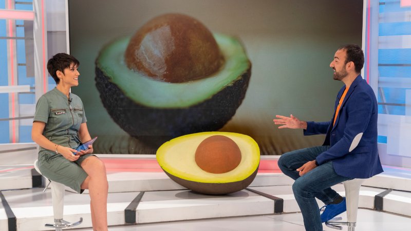 ¿Engorda el aguacate?