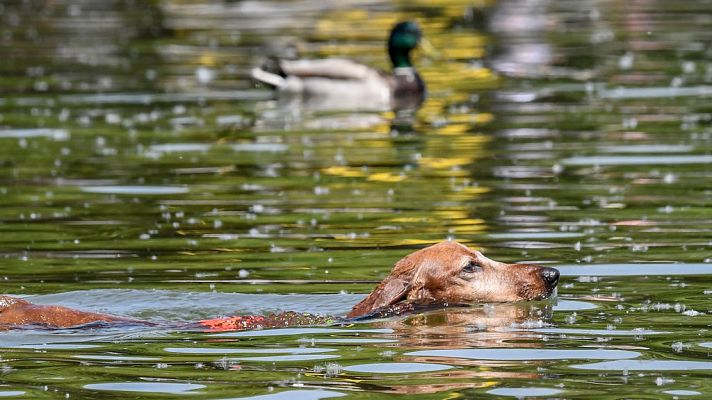 El tiempo - En gran parte del país predominarán cielos poco  nubosos o despejados
