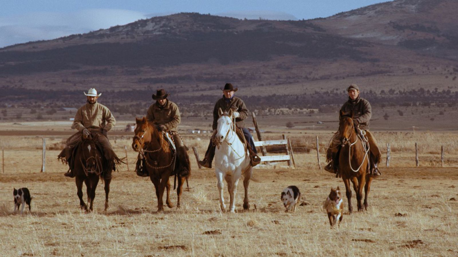 La noche temática - Hombres de verdad - ver ahora