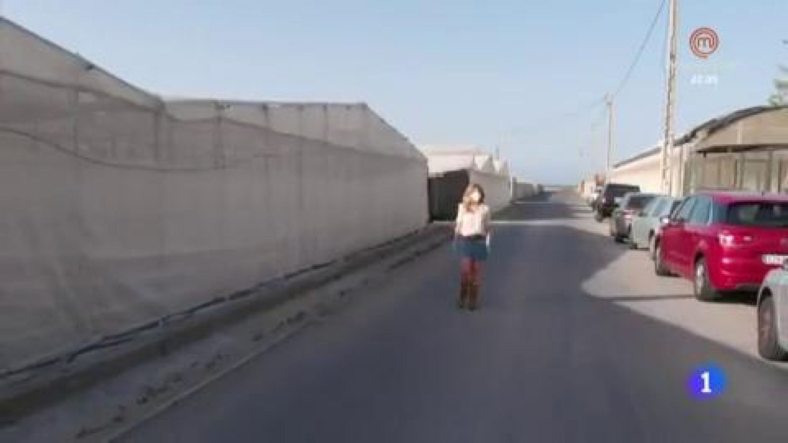 ¡Al rico tomate cherry!