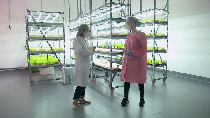 Aquí la Tierra - La agricultura del futuro: así es Ekonoke