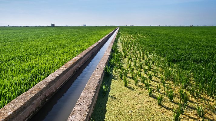 Aquí la Tierra - Aquí la Tierra - 23/06/20