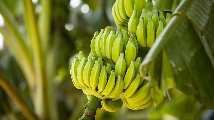 Aquí la Tierra - Aquí la Tierra - 24/06/20