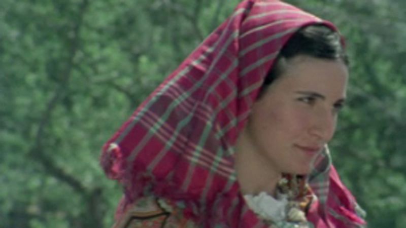 Raíces - Apuntes maragatos - Raíces | Ver