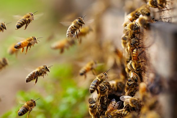 Aquí la Tierra - Aquí la Tierra - 25/06/20