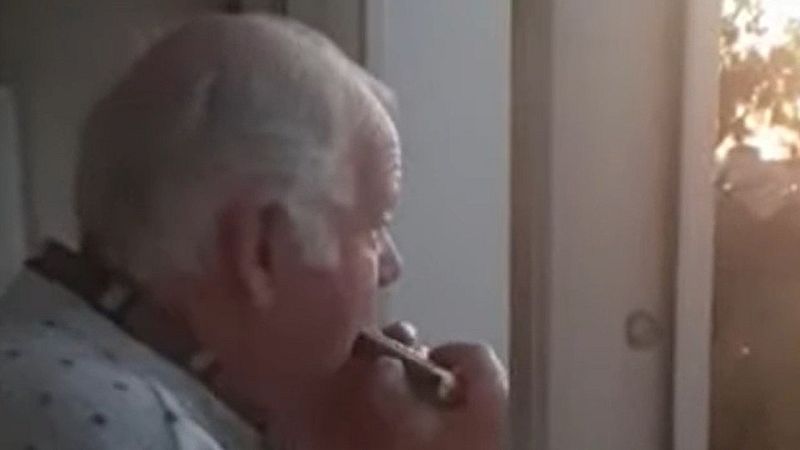 La armónica de Herman, una historia de película | Ver