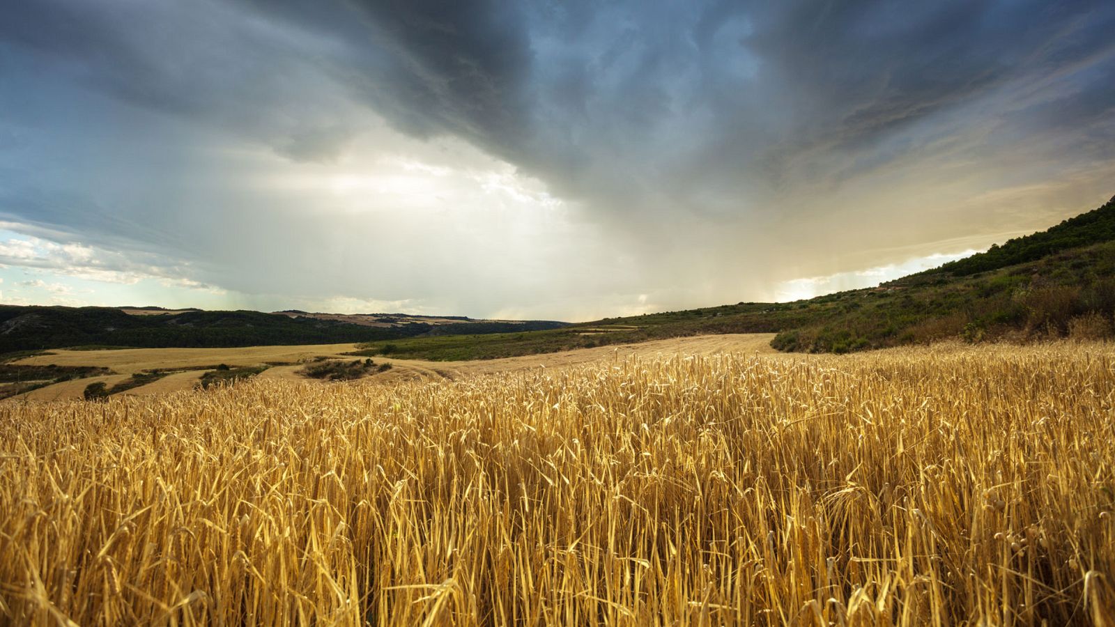 Chubascos y tormentas localmente fuertes en el Ebro y en el Sistema Ibérico - Ver ahora