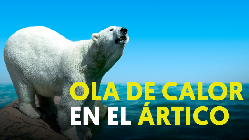 Calor: Siberia sacudida por temperaturas cercanas a los 40 grados