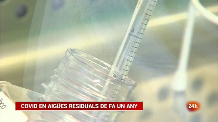 Vespre 24 - Vespre 24 - 26/06/2020