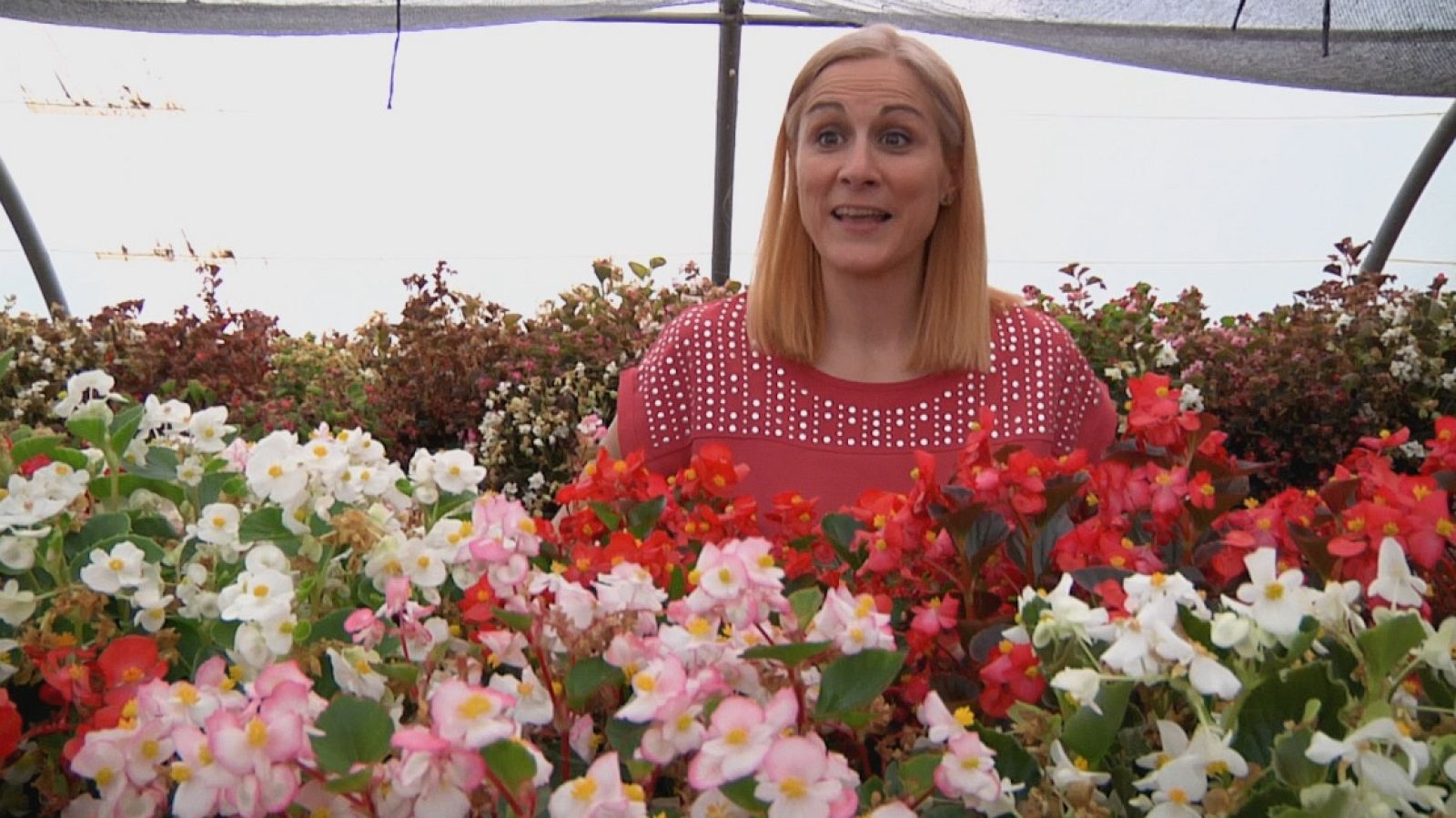 Aquí la Tierra - ¿Sabes que hay flores comestibles? ¡Te enseñamos algunas de ellas!