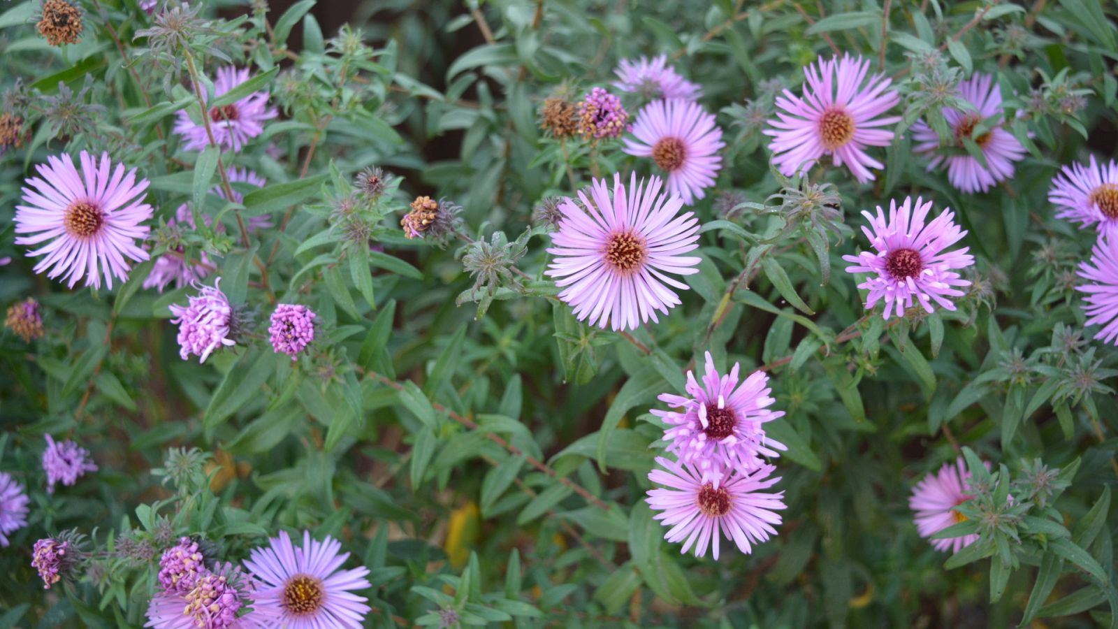 Aquí la Tierra - 26/06/20 - ver ahora