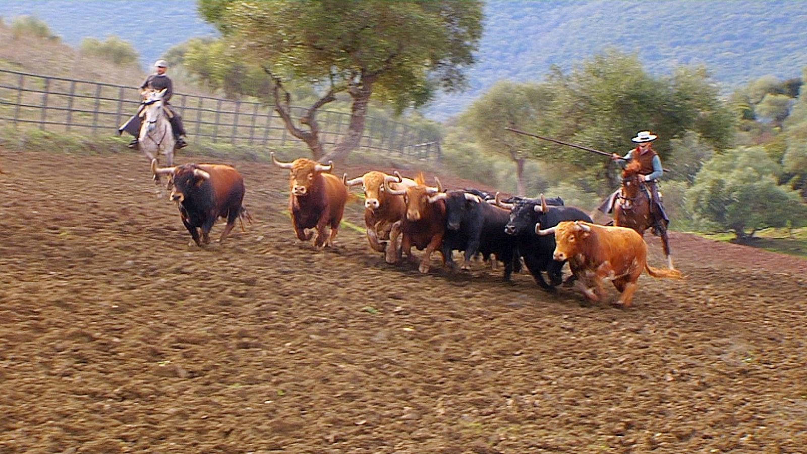 Tendido cero - 27/06/20 - ver ahora