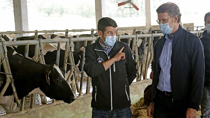 Telediario 1 - Los candidatos a las elecciones gallegas reivindican el sector agrario, la sanidad pública y el Estatuto de Autonomía de 1936