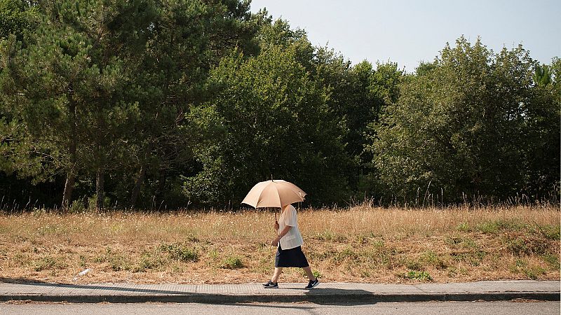 Temperaturas significativamente altas en el sur y zonas de Castilla-La Mancha - ver ahora