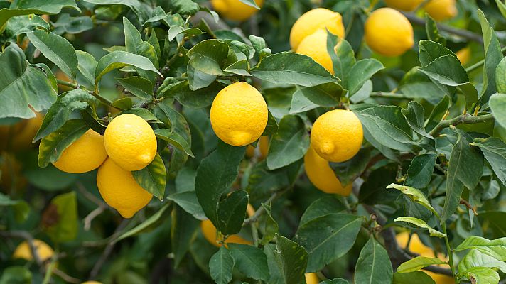 Aquí la Tierra - Aquí la Tierra - 29/06/20