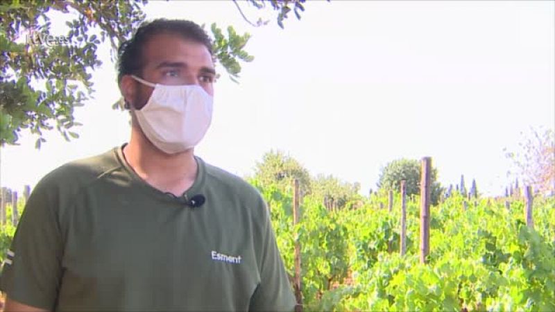 Creando el vino 'Gallinas y focas'