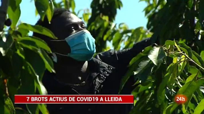 Vespre 24 - Vespre 24 - 31/06/2020