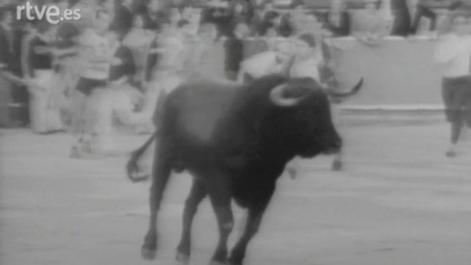 Cuarto encierro de Sanfermines 1980 - Programas y Concursos en el Archivo de RTVE | Ver