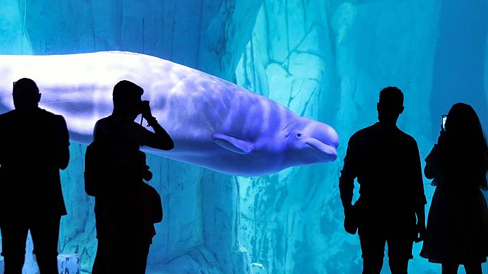 L'informatiu - Comunitat Valenciana - L'Informatiu - Comunitat Valenciana 2 - 02/07/20