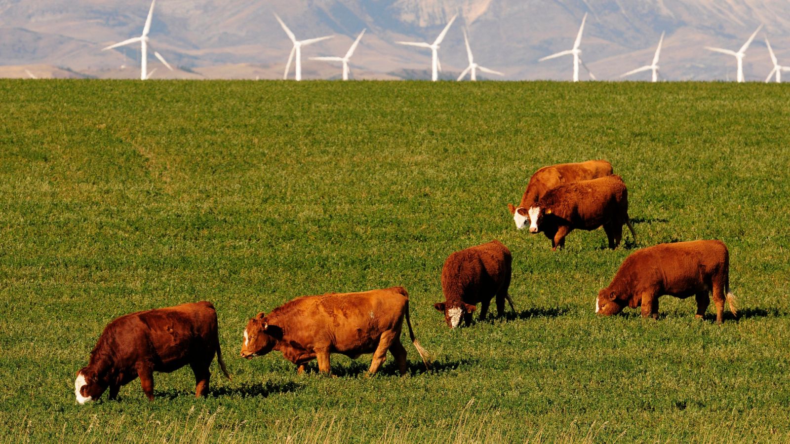 Aquí la tierra - 02/07/20 - ver ahora