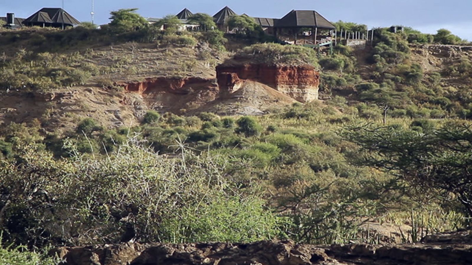 UNED - 03/07/20 - ver ahora