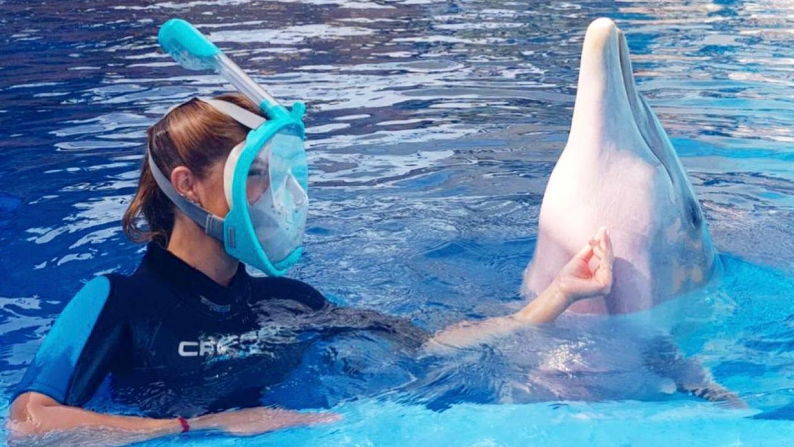 Reapertura de Mundomar en Benidorm - España Directo | Ver