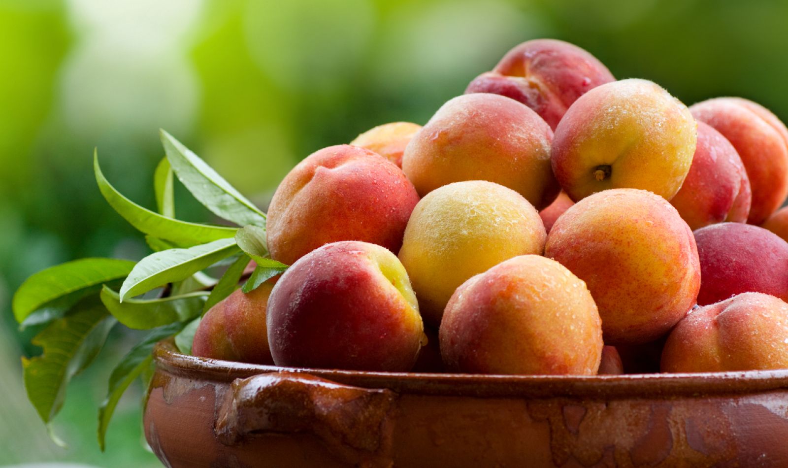 ¿Sabías que los melocotones y las nectarinas ayudan a nuestro sistema inmune?