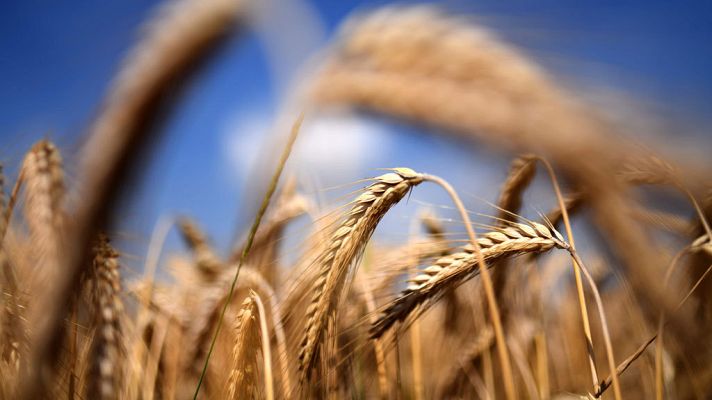 El tiempo - Aviso naranja por altas temperaturas en Extremadura,  Sevilla, Córdoba y Jaén