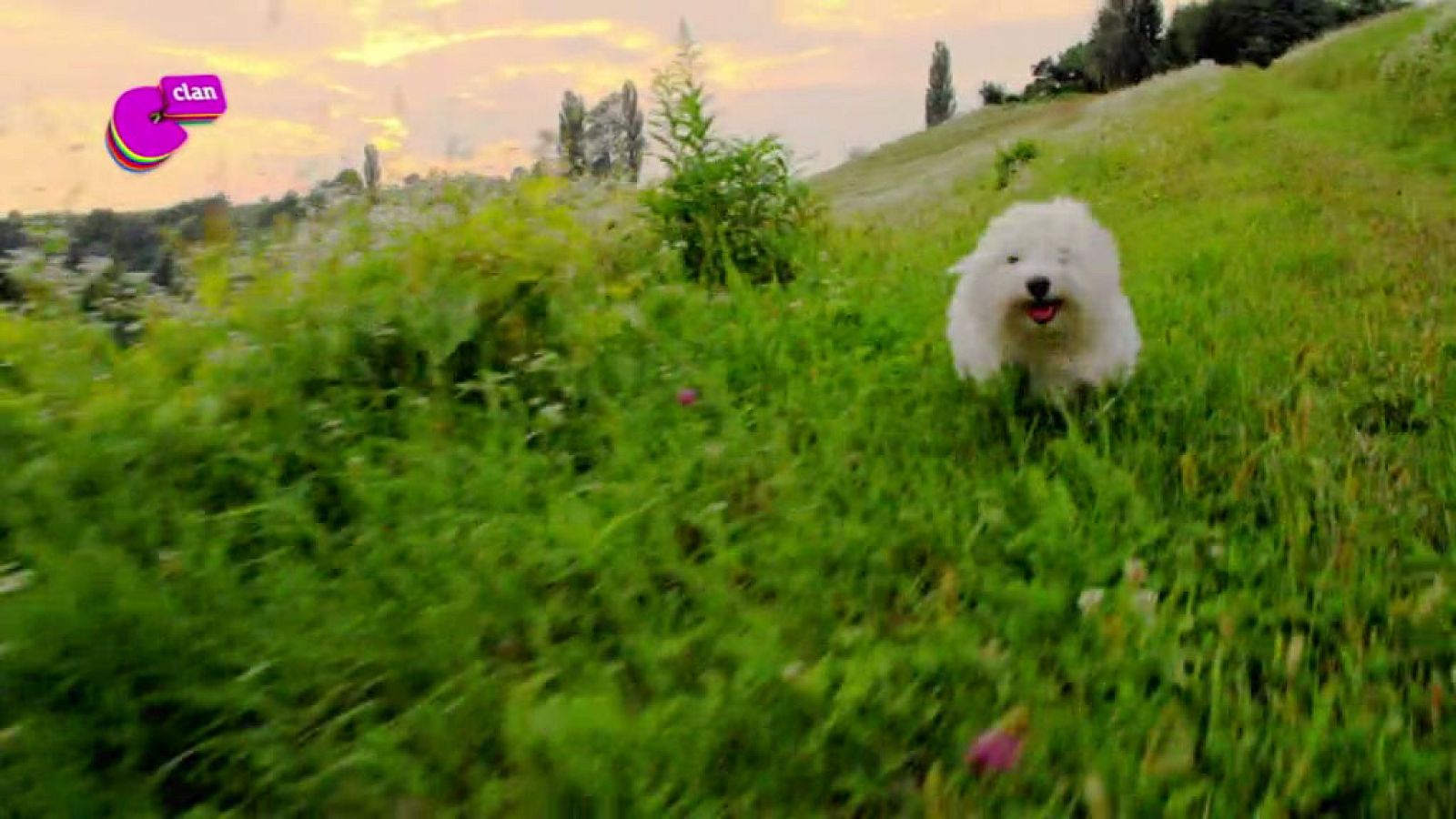 ¡Pásalo genial conectando con Clan! - Club Clan | Ver