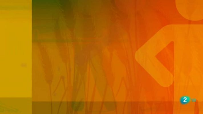 Agrosfera - Temporeros