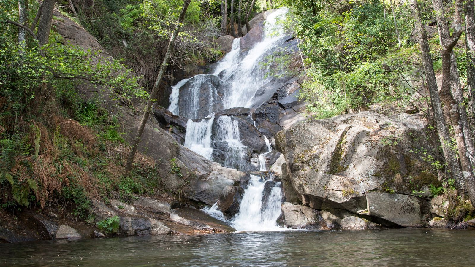 Reserva natural del Valle del Jerte (Cáceres) | Ver