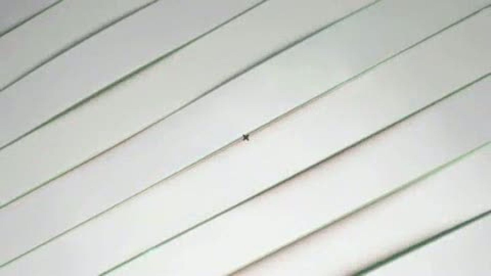 Entrevistas electorales Euskadi  12J  / EH Bildu | Ver