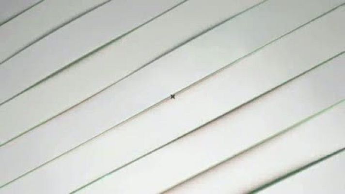 Telenorte - País Vasco - Entrevistas electorales Euskadi  12J  / EH Bildu