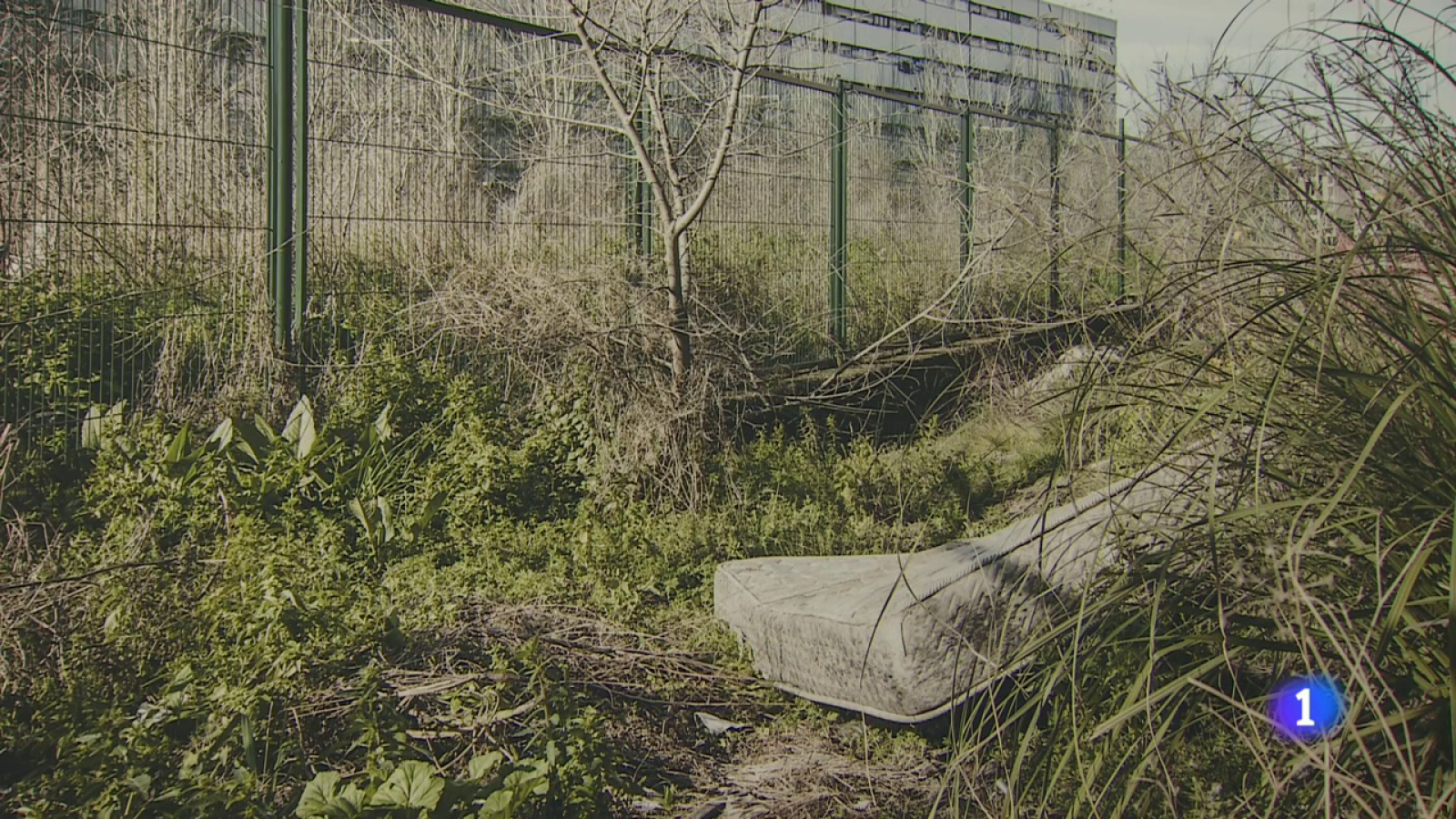 'Lo que no se ve', una exposición fotográfica que documenta la violencia contra las mujeres