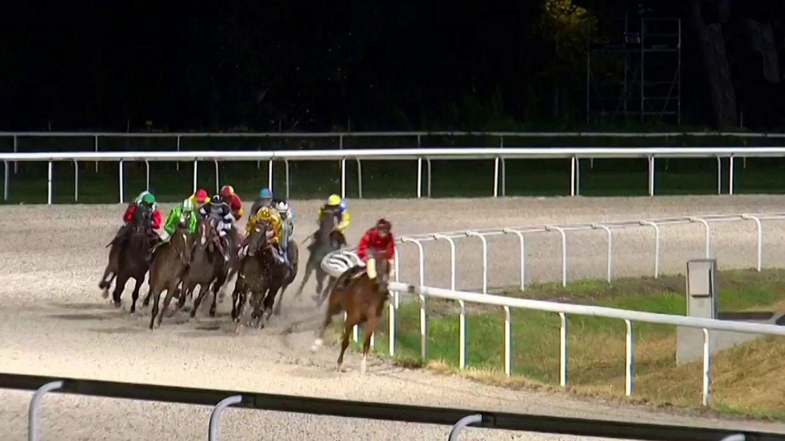 Hípica - Carreras de caballos desde el Hipódromo de La Zarzuela - ver ahora