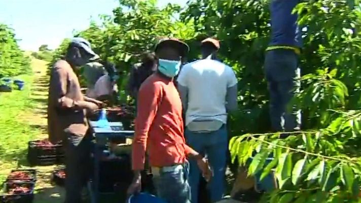 Diario 24 - Diario 24 - 10/07/20 (1)