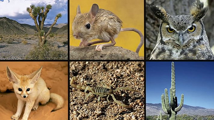 Saber y ganar - Saber y ganar - 10/07/20