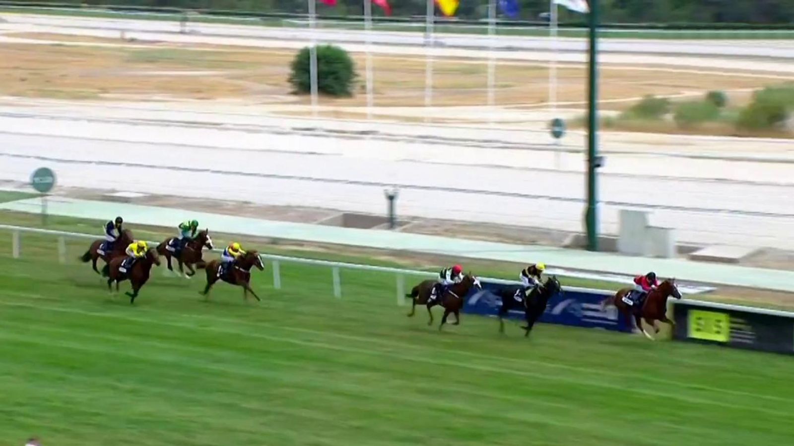 Hípica - Carreras de caballos desde el Hipódromo de La Zarzuela - ver ahora