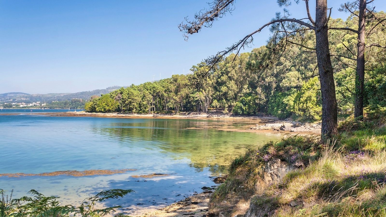 Camino de Santiago por mar - España Directo | Ver