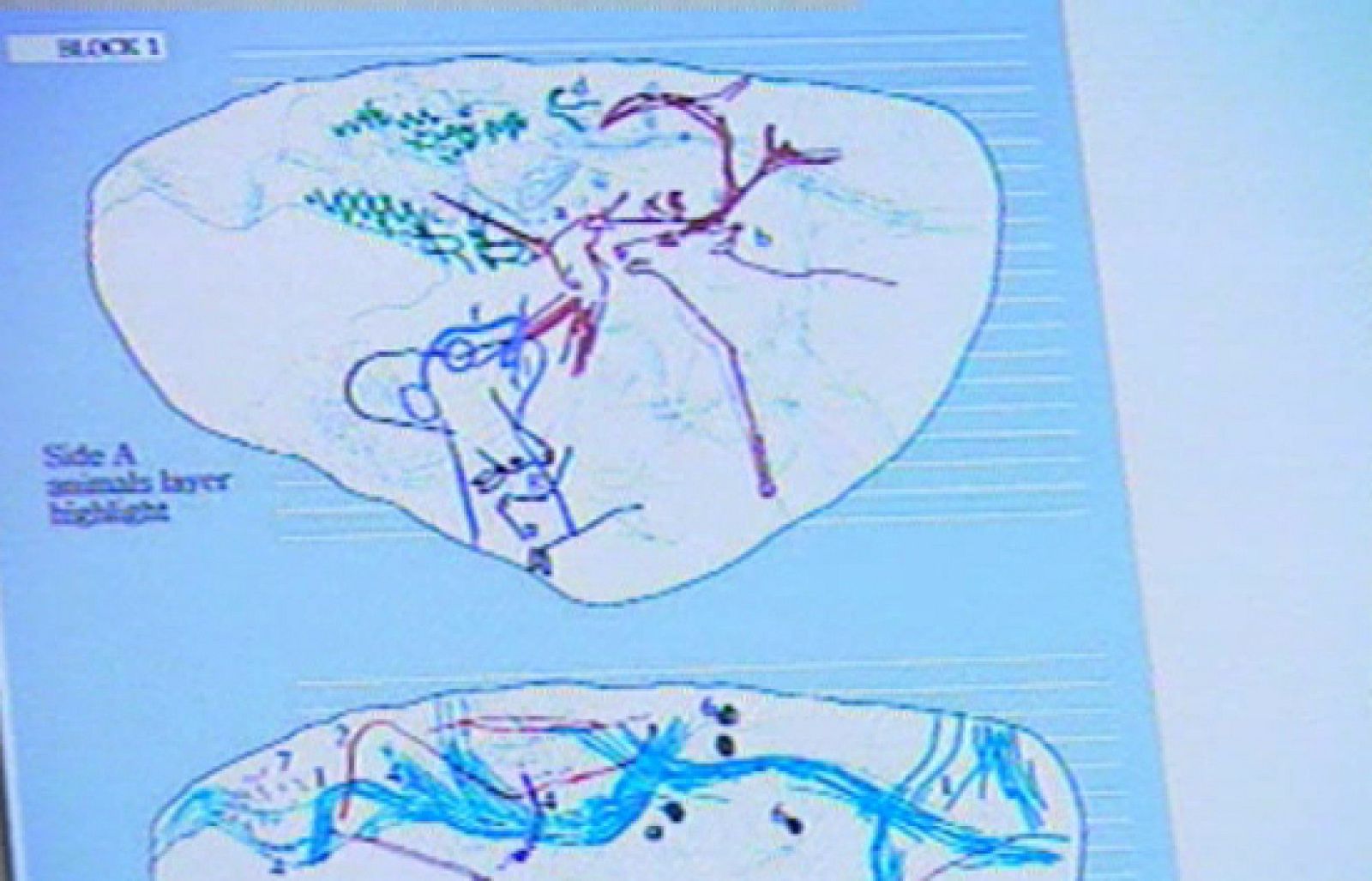 Han tardado 16 años en descifrar un mapa que tiene 13.660 años - Ciencia y tecnología en Rtve.es | Ver