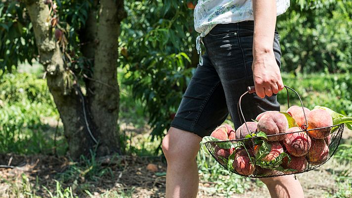 Aquí la Tierra - Aquí la Tierra - 15/07/20