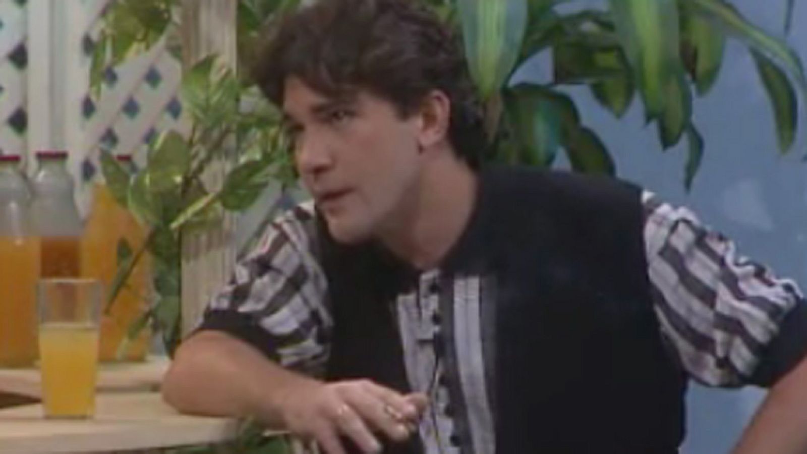 Un verano tal cual - 14/6/1988 - Un verano tal cual | Ver