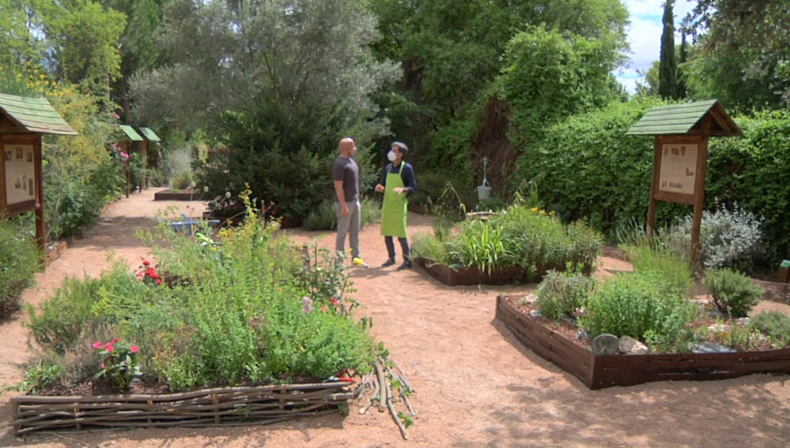 Aquí la Tierra - ¡Volvemos al Hospital de las Plantas! Nos cuentan qué es un huerto medieval