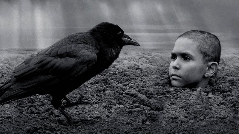 'El pájaro pintado'