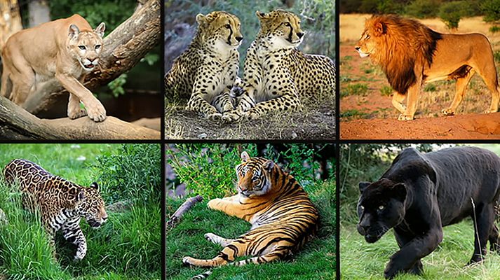 Saber y ganar - Saber y ganar - 17/07/20