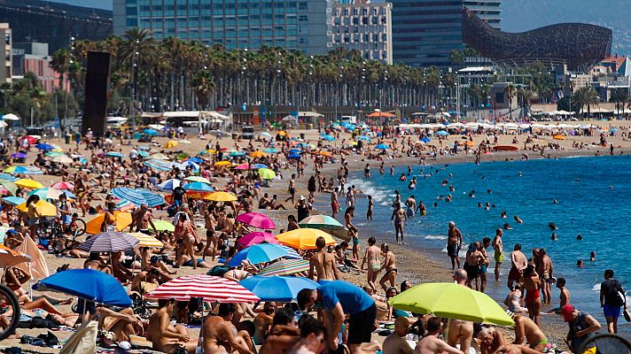 Telediario 1 - Telediario 1 en 4' - 19/07/20