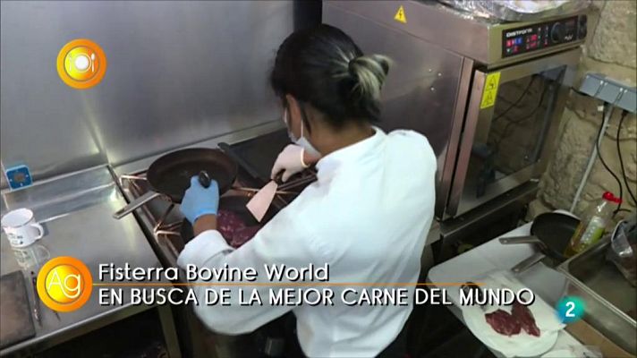 Agrosfera - Con mucho gusto Cata de la mejor carne del mundo