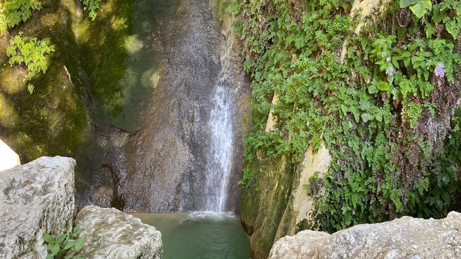 España Directo - 20/07/20 - ver ahora