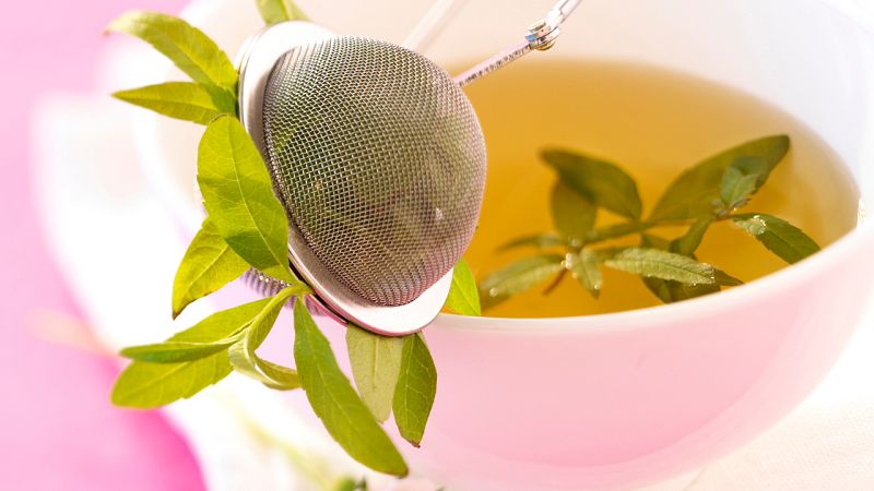 Aquí la Tierra - ¿Conoces la planta medicinal que le da nombre a las fiestas de pueblo?