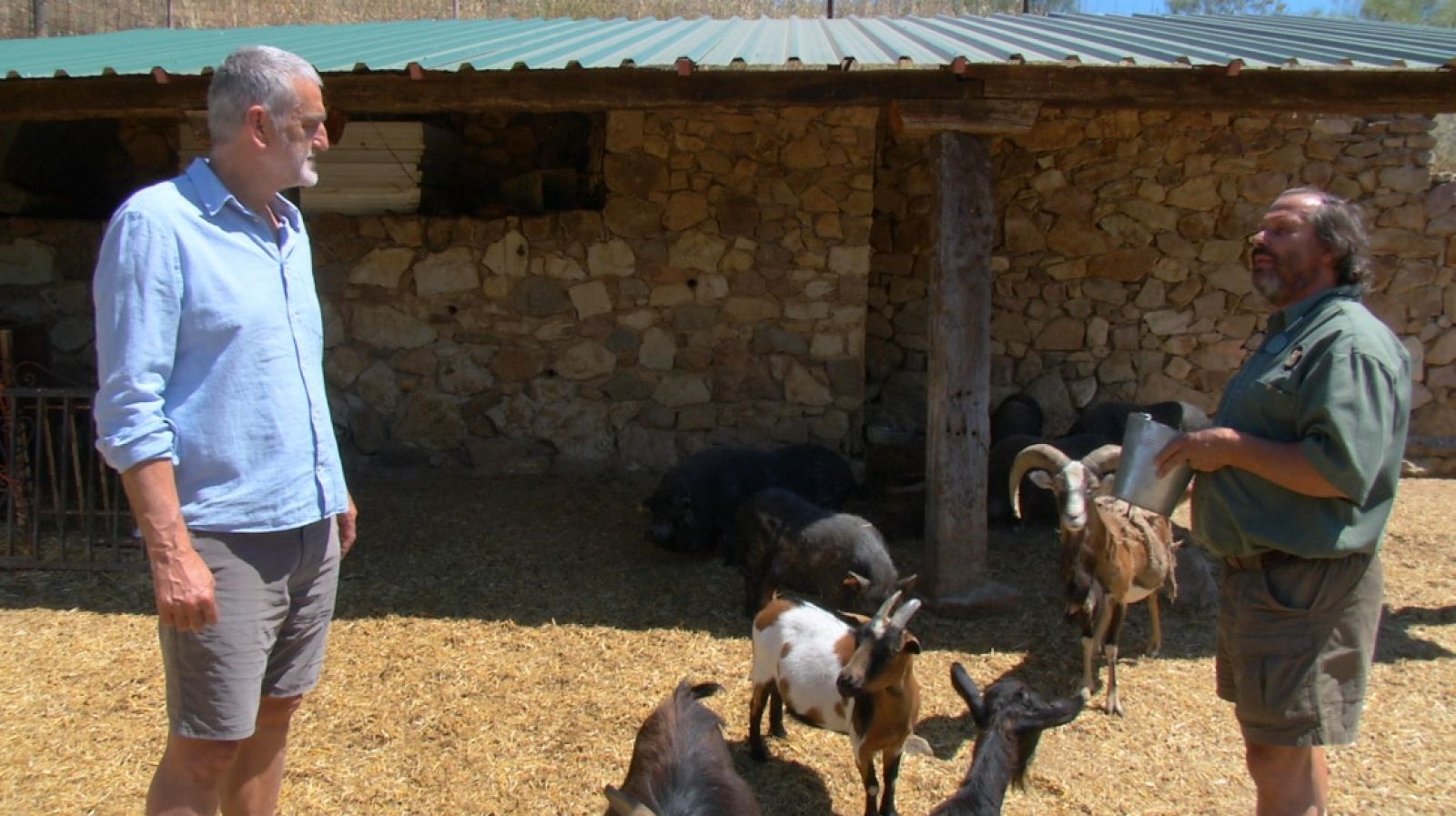 Aquí la Tierra - ¡Volvemos a visitar la Granja Escuela Onceolivos y conocemos más animales!